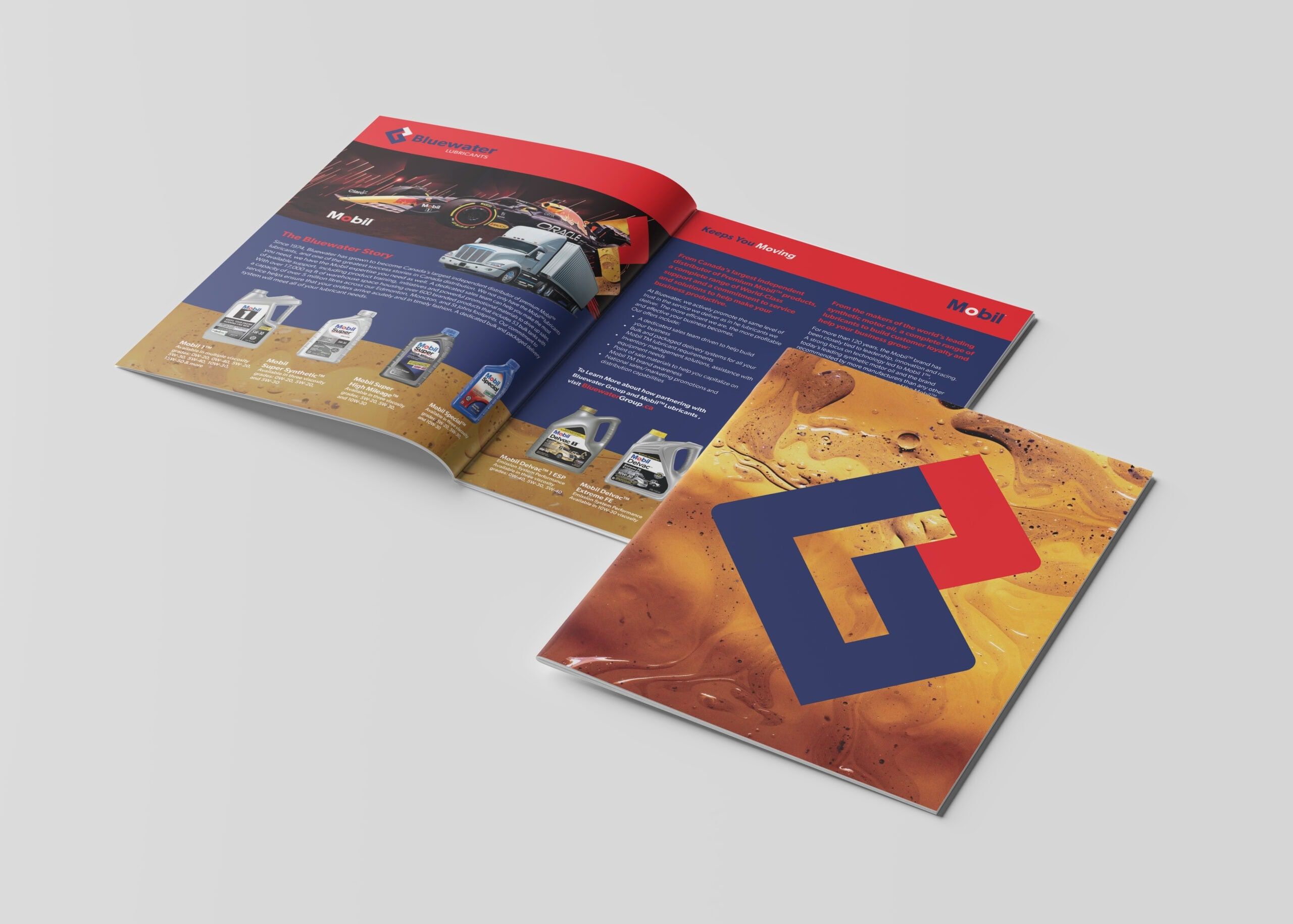 Bluewater Group Brochure