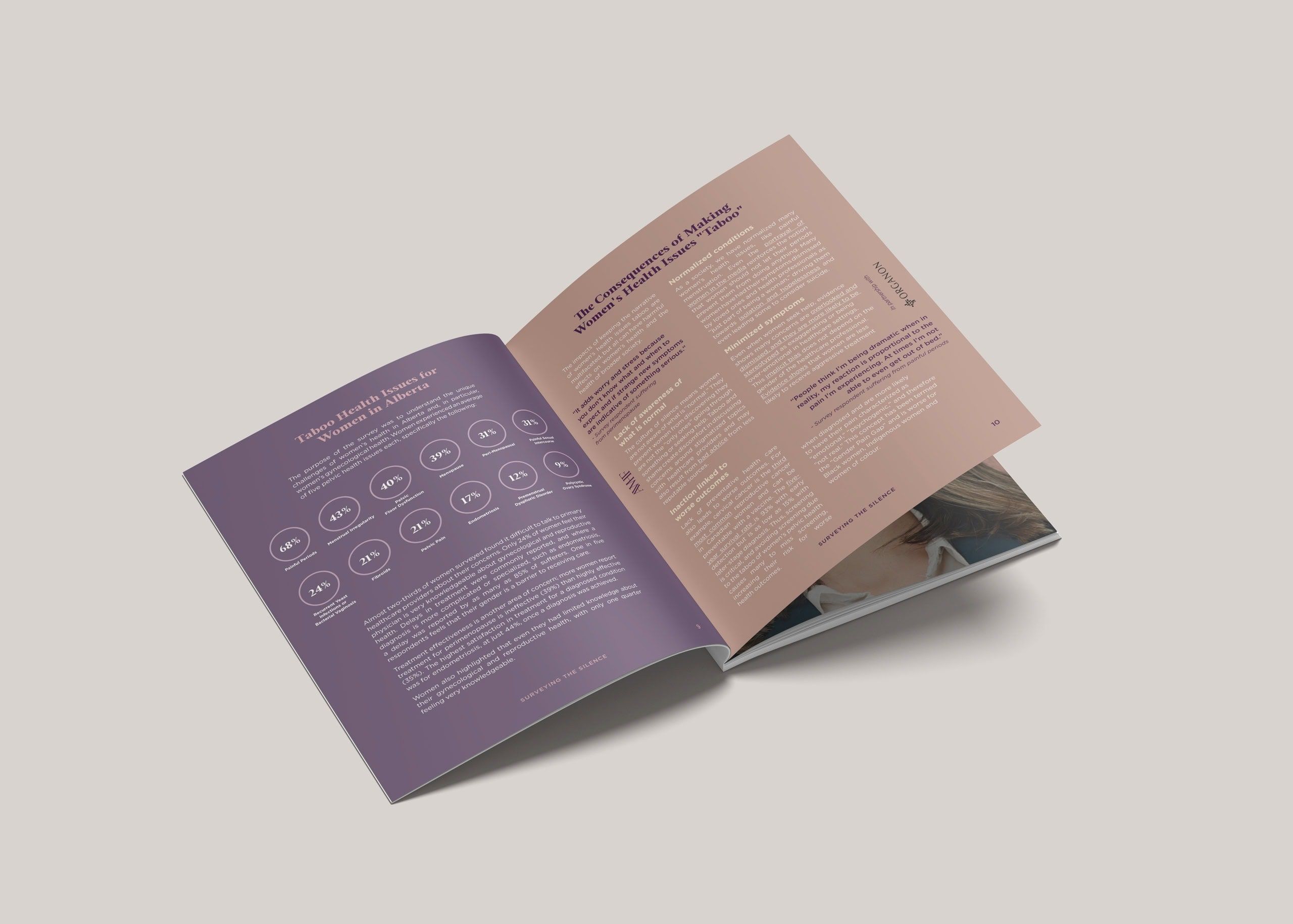 Surveying the Silence Book