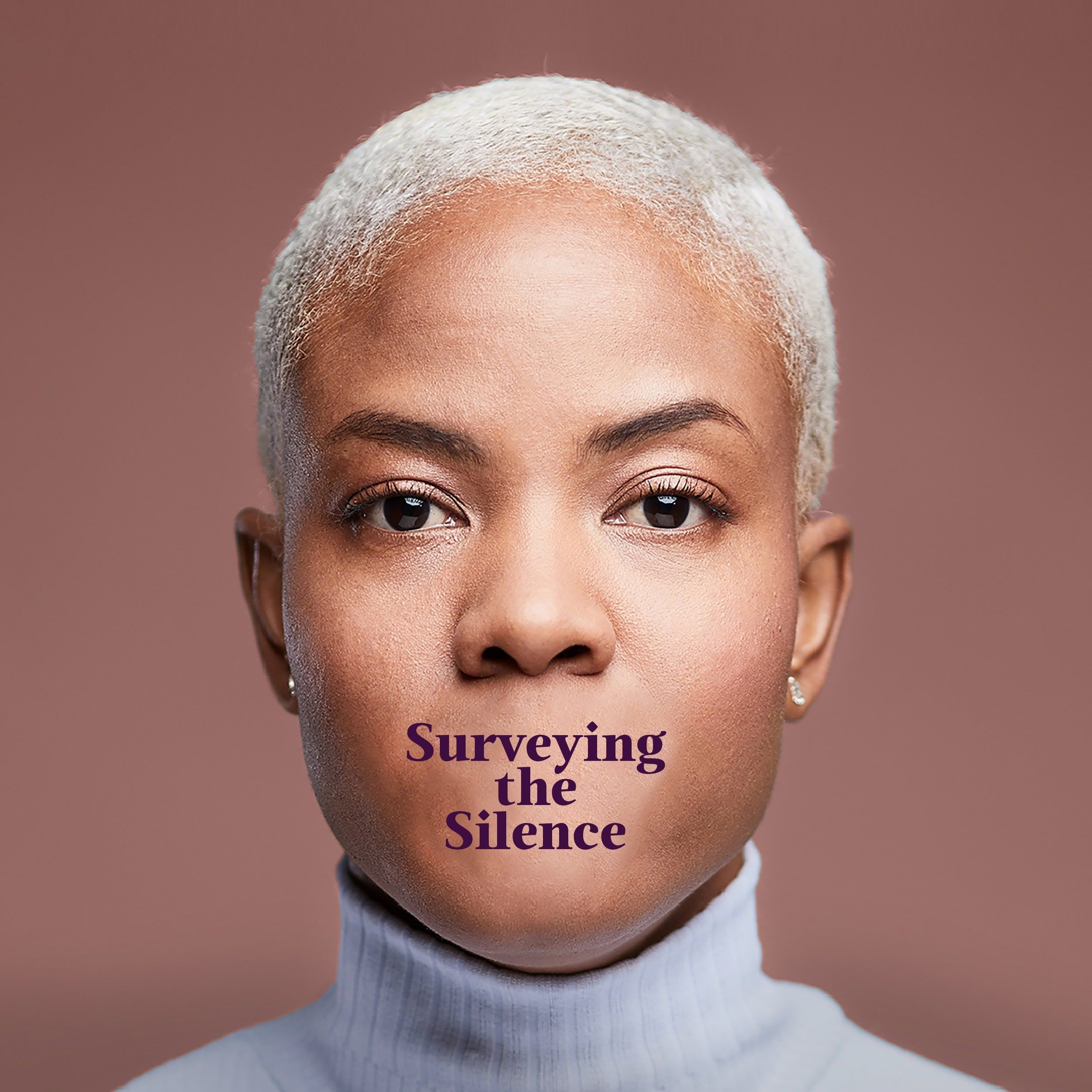 Surveying the Silence Graphic