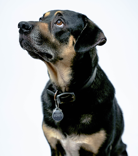 "Bones" McCoy - Branch Manager at ANVL Creative